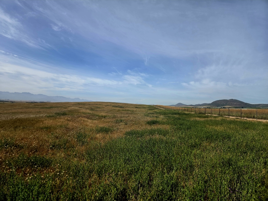 Commercial Property for Sale in Riebeek Kasteel Western Cape
